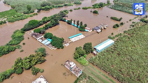 marathwada heavy rain