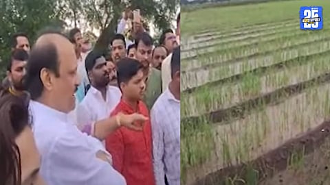 Maharashtra Crop Loss Ajit Pawar Speaks After Farmer Question