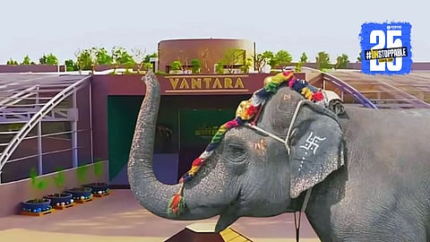 Mahadevi Elephant Return