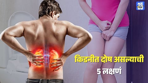 Kidney Failure Symptoms : लघवीमध्ये फेस दिसतोय? हे खूपच धोकादायक, किडनीत दोष असल्याची 5 लक्षणं, अजिबात दुर्लक्ष करू नका