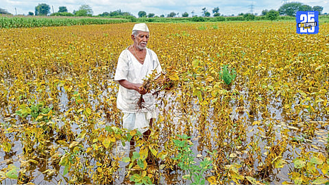 Kharif Crops