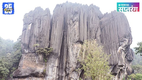 "Hidden Gem in Karnataka: The Mystical Yana Rocks of Sirsi"