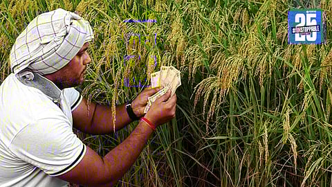 Farm Loan Waiver