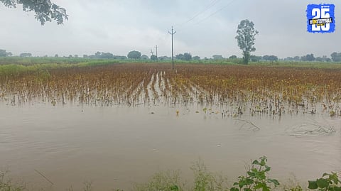 Marathwada Flood 