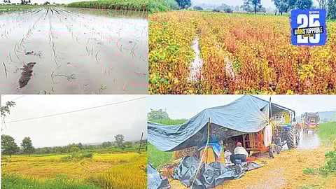 Drought Impact kolhapur