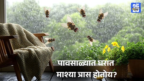 Monsoon fly prevention Tips: