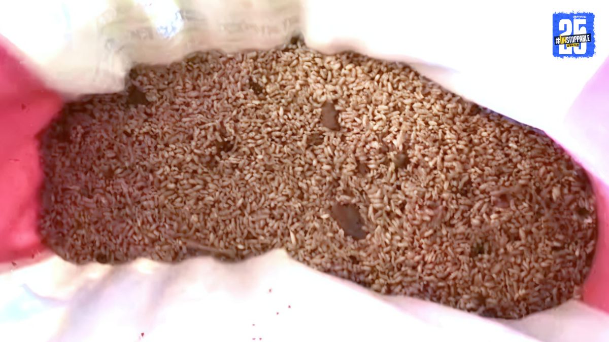 Shocking! Worms and insects found in wheat at ration shop; citizens outraged.