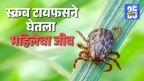 Yavatmal Scrub Typhus Case