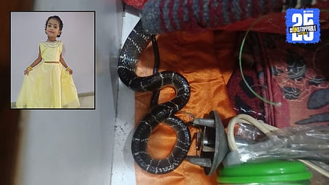 Girl Dies due to Snake Bite 