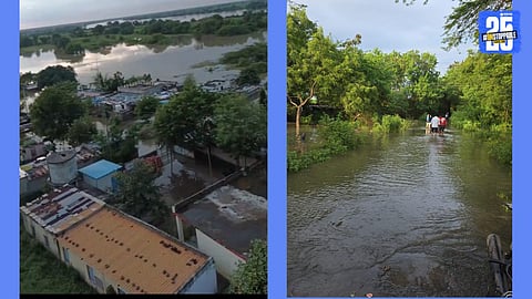 godavari river flood water