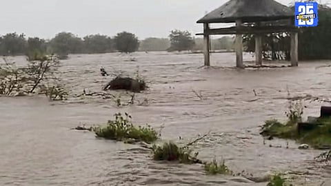 Floodwaters from Vishram Ganga river damage crops, while a wall collapse in Chilekhanwadi claims an elderly man’s life.