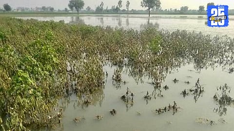 Heavy Rain: पूर अन् अतिवृष्टीमुळे झालेल्या नुकसानीची मदत किती मिळणार? काय आहे प्रक्रिया?