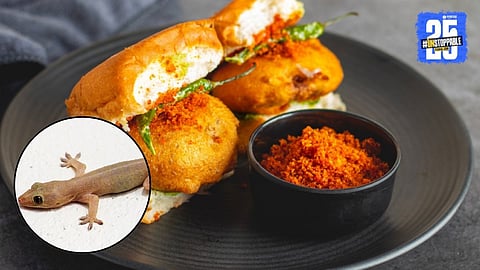 Lizard Found In Vadapav