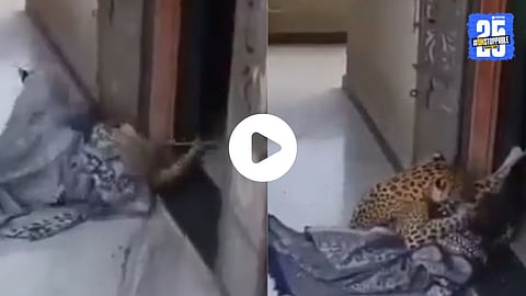 A viral video shows a brave woman tying a leopard with a rope inside a house, leaving social media stunned and amused.