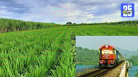 Kolhapur Sangli Agriculture