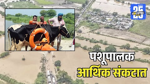 Government Help for animals Died in floods