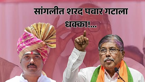 Sangli Politics