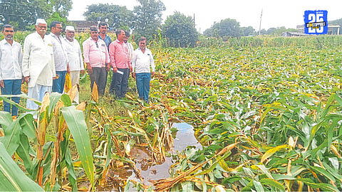 Crop Damage