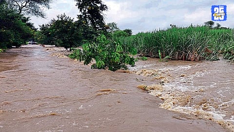 Dharashiv Rain