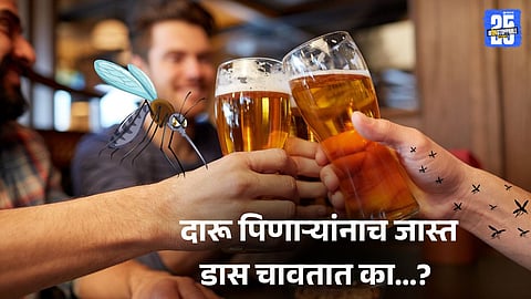 Beer and Bites: 

