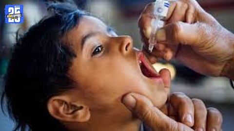 Pulse Polio Vaccination