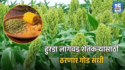 Farmers Can Benefit from Hurda Business
