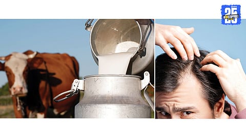 cow goat milk good guidance White flakes in hair