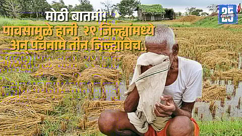 "Rain-hit fields await survey: Hectare limit rule halts panchanamas in most Maharashtra districts."