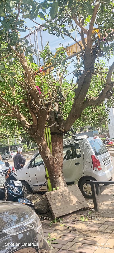 सकाळ संवाद