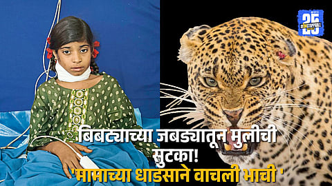 Emergency rescue in Digras: Brave uncle saves niece from leopard attack, shocking the Sangamner Taluka community.