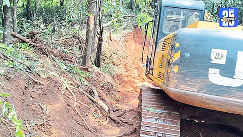 JCB and bulldozer seized by authorities in Sasoli following large-scale illegal tree-cutting.