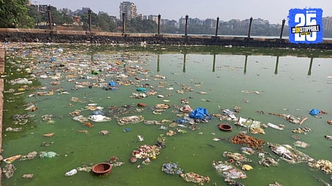 Varhala Lake in Bhiwandi  pollution