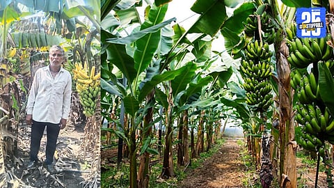 Hingoli Banana Farmer 