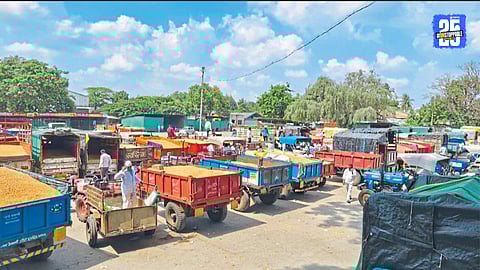 Lasalgaon soybean market