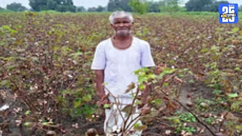 Eastern Vidarbha farmers to receive ₹340 crore in relief for rain and flood damage; funds to reach accounts before Diwali.