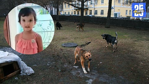 A 3-year-old girl in Jalna dies after a brutal attack by a pack of stray dogs