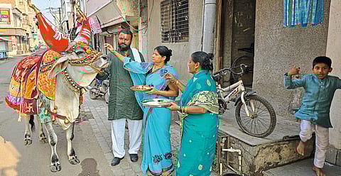 नंदीबैलाची घंटा अन्‌ घुंगरांचा घुमतोय झंकार