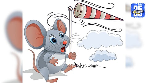 Rat's Sense of Smell: Scientists Discover Unique Abilities