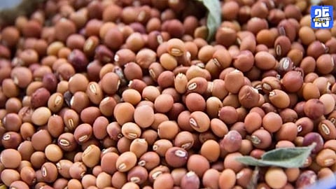 Soyabean Crop Loss