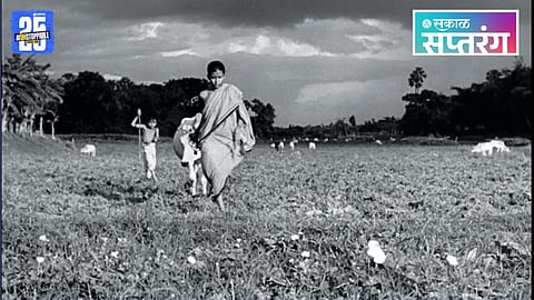 pather panchali movie