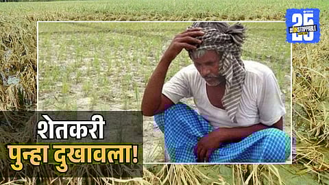 Farmers crop Loss Due To Rain