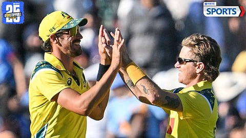 Mitchell Starc - Adam Zampa