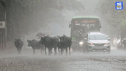 Pune Heavy Rain