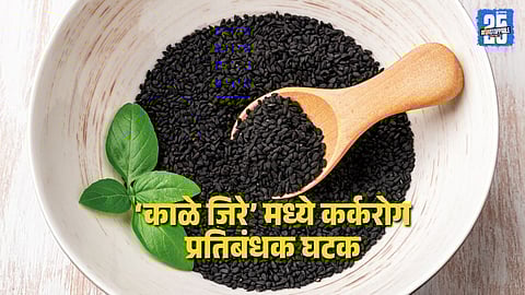 black cumin cancer,