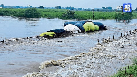 Marathwada Heavy Rain