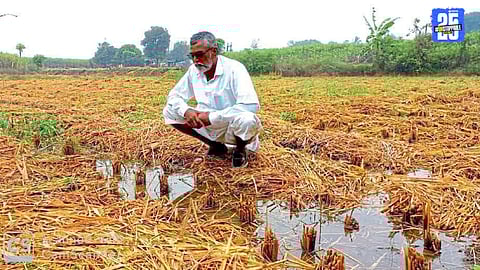 Igatpuri rain