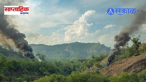 Environmental Damage