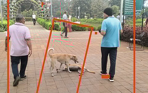 पिंपळे गुरव परिसरातील
जिजाऊ उद्यानाची दुरवस्था