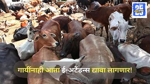 MP Government Cow E-attendance Microchip