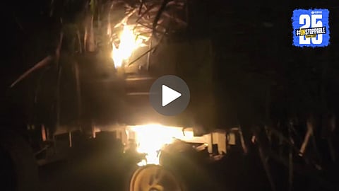 Sugarcane Kolhapur News